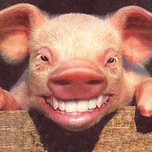 He obviously uses my denist